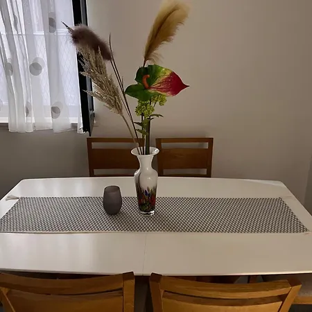 公寓 Vesna 斯普利特